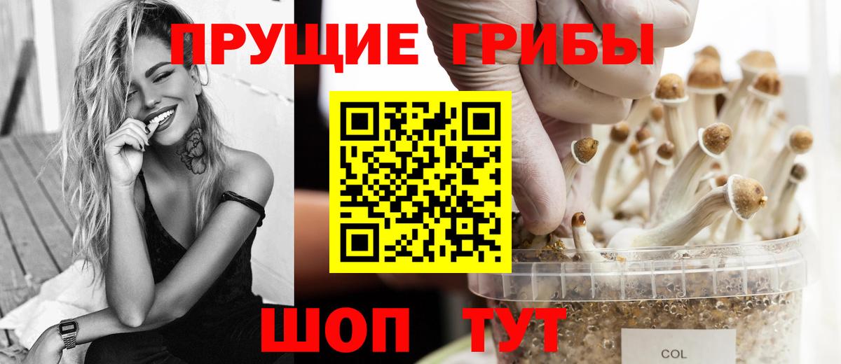 Псилоцибиновые грибы Psilocybe  Вход с VPN  Наро-Фоминск  Галлюциногенные грибы Psilocybe 